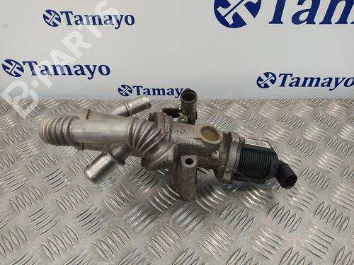 Egr FIAT GRANDE PUNTO (199_)  | BP10660061M69 