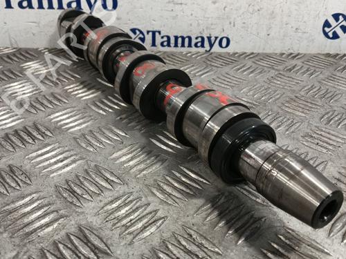 Other AUDI A4 B7 Avant (8ED) 2.0 TDI 16V | BP29866690O1