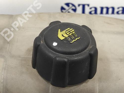 Expansion tank NISSAN PRIMASTAR Van (X83) 2.5 dCi 140 | BP11383901C120