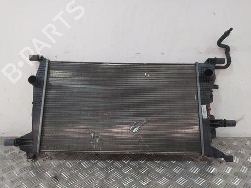 Used Water radiator Water radiator RENAULT MEGANE III Hatchback (BZ0/1_, B3_) [2008-2026] 39723231 39723231