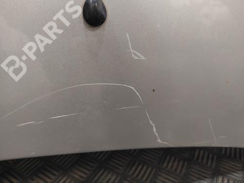 Hood RENAULT CLIO III (BR0/1, CR0/1)  | BP101751C1 