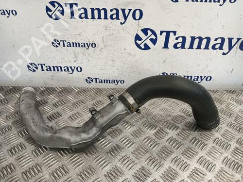 Pipe NISSAN QASHQAI I (J10, NJ10) 2.0 dCi | BP29811578M125