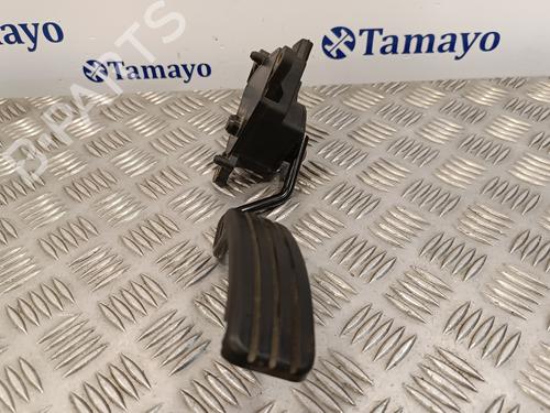 Pedal RENAULT CLIO III (BR0/1, CR0/1) 1.5 dCi (BR0H, CR0H, CR1S, BR1S) | BP17019924I4 