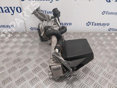 Egr MERCEDES-BENZ CLK (C208)  | BP25719438M69 
