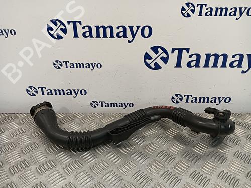 Used Pipe NISSAN JUKE (F15) [2010-2019]  21264267
