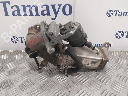 Egr BMW 1 (E87)  | BP25047487M69 