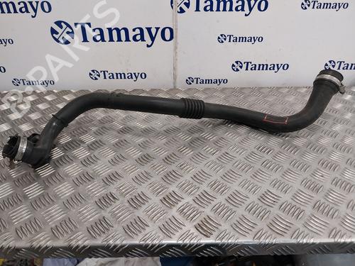 Used Pipe RENAULT SCÉNIC II (JM0/1_) [2003-2010]  25346252