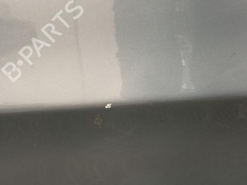 Left front door BMW 3 (E90)  | BP13758219C2 