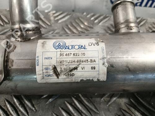 Egr CITROËN C4 I (LC_)  | BP29570359M69 