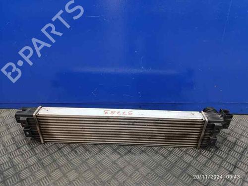 Intercooler OPEL MOVANO B Van (X62)  | BP27403332M30 