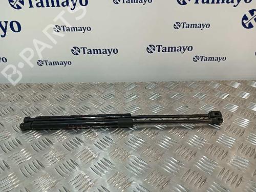 Used Tailgate lift support TOYOTA AVENSIS Estate (_T25_) [2003-2008]  27163275
