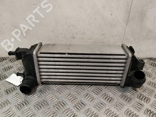 Used Intercooler Intercooler FIAT PANDA (312_, 319_) 1.3 D Multijet 4x4 (312PXU1A) (95 hp) 40089265 40089265