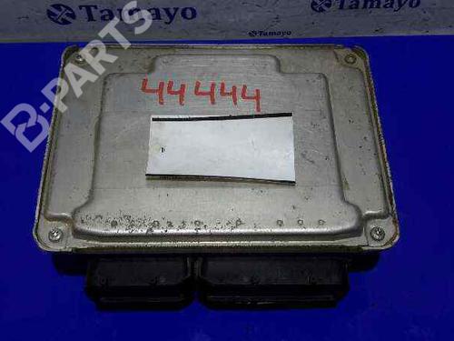 Motorstyringsenhed SEAT IBIZA III (6L1) 1.9 SDI | BP4913106M57 