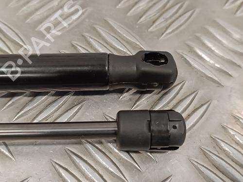 Tailgate lift support AUDI TT (8N3)  | BP16025360C138 
