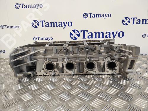 Cylinder head NISSAN QASHQAI / QASHQAI +2 I (J10, NJ10, JJ10E)  | BP10970008M5 