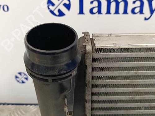 Intercooler NISSAN QASHQAI II (J11, J11_) 1.6 dCi | BP18031160M30 