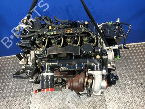 Engine FORD FIESTA V (JH_, JD_) 1.6 TDCi | BP32162589M1