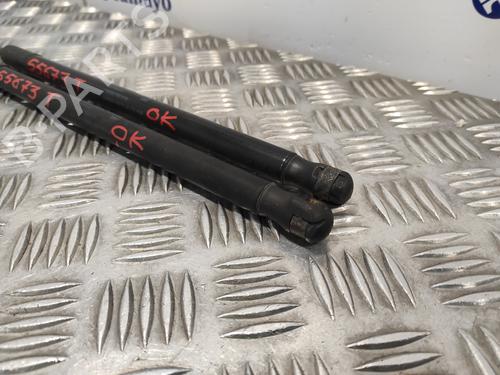 Tailgate lift support SKODA OCTAVIA II (1Z3) 1.9 TDI | BP22697386C138 