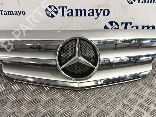 Used Grille MERCEDES-BENZ B-CLASS Sports Tourer (W245) B 180 CDI (245.207) (109 hp) 29475660