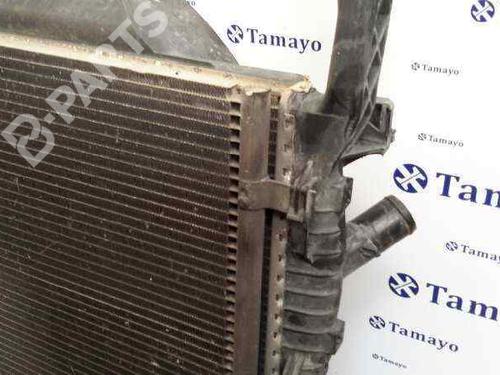Water radiator FORD TRANSIT Platform/Chassis (FM_ _, FN_ _, FF_ _)  | BP6012317M31 