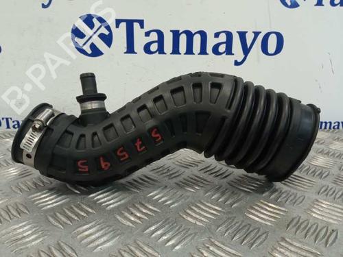 Used Pipe NISSAN QASHQAI / QASHQAI +2 I (J10, NJ10, JJ10E) [2006-2014]  25847582