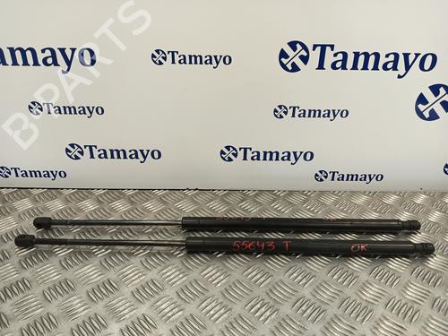 Tailgate lift support LAND ROVER RANGE ROVER SPORT I (L320) 2.7 D 4x4 6H32406A10BB | BHE790070