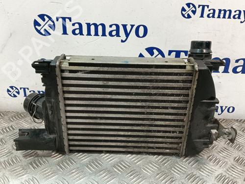 Intercooler DACIA LOGAN II TCe 90 (L8MA, L8M1, L8AC) | BP32396168M30