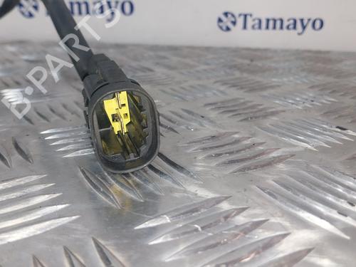 Radiator fan FIAT PUNTO (188_) 1.3 JTD 16V | BP30636262M35