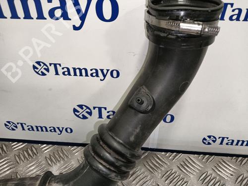 Intercooler pipe RENAULT MASTER II Bus (JD) | BP30135716M127