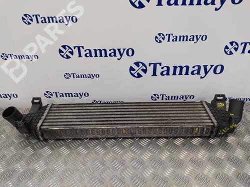 Intercooler FORD FOCUS C-MAX (DM2) 1.6 TDCi | BP10293043M30 