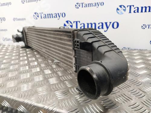 Intercooler MERCEDES-BENZ C-CLASS (W204)  | BP6145824M30 