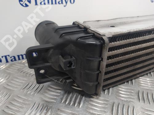 Intercooler CHEVROLET CAPTIVA (C100, C140)  | BP9726568M30 