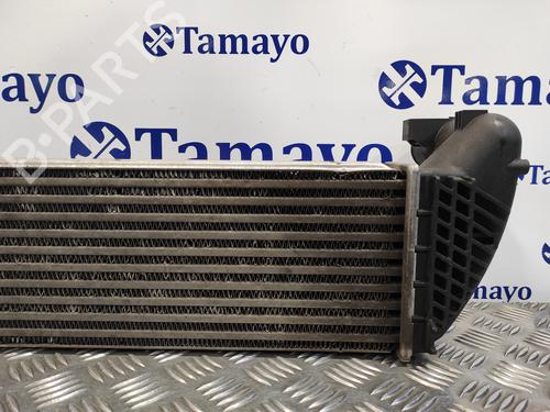 Intercooler RENAULT VEL SATIS (BJ0_) 2.2 dCi (BJ0E, BJ0F) | BP17447427M30 