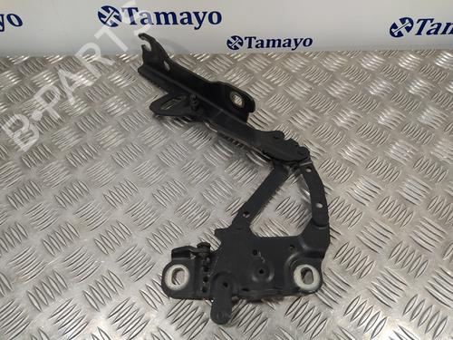 Hinge/Door check strap BMW 1 (F20)  | BP14358128C146 