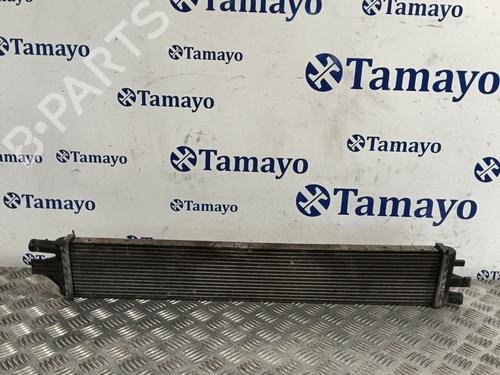 Water radiator RENAULT MASTER III Platform/Chassis (EV, HV, UV) 2.3 dCi 130 RWD (HV01, HV10, HV11, HV12, UV01, UV10,... | BP33288806M31 - Image 4