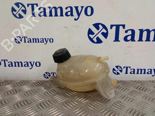 Used Expansion tank DACIA SANDERO II [2012-2025]  27163269