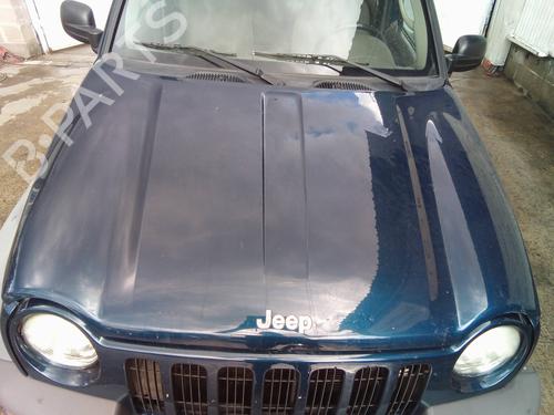 Used Hood Hood 38704804 38704804
