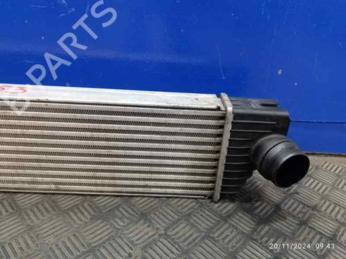 Intercooler OPEL MOVANO B Van (X62)  | BP27403332M30 
