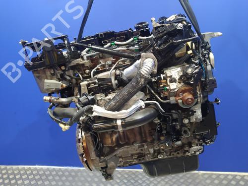 Used Engine Engine FORD ECOSPORT 1.5 TDCi (90 hp) 40088358 40088358