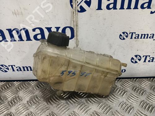 Used Expansion tank RENAULT KANGOO Express (FW0/1_) 1.5 dCi 75 (FW07, FW10, FW04) (75 hp) 30053213