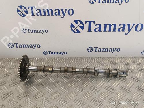 Used Other PEUGEOT BOXER Van 2.2 HDi 130 (131 hp) 21533503