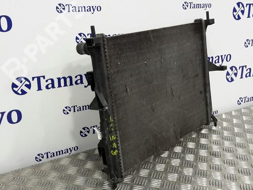 Water radiator RENAULT CLIO III (BR0/1, CR0/1) 1.2 16V (BR02, BR0J, BR11, CR02, CR0J, CR11) | BP7659013M31 