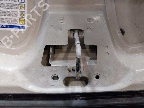 Hood FIAT DUCATO Van (250_)  | BP16093828C1