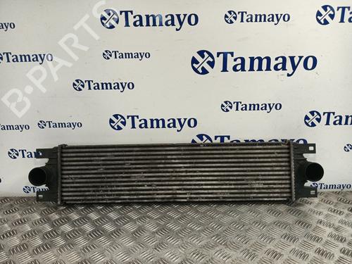 Intercooler NISSAN INTERSTAR Van (X70) dCi 115 (115 hp) 30697047