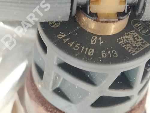 Injector BMW 3 Touring (F31) 316 d | BP5238666M100 