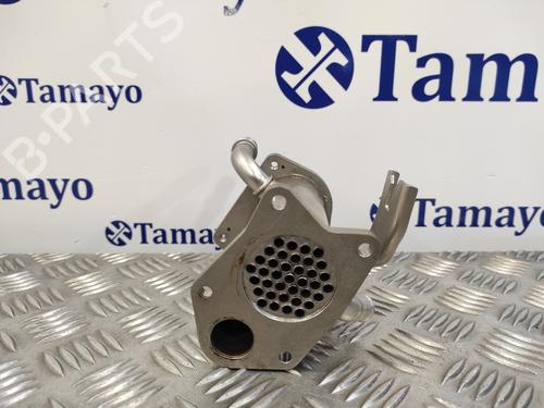 Egr NISSAN NV200 / EVALIA Bus 1.5 dCi 110 (M20, M20M) | BP15737224M69 
