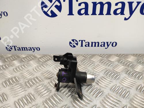 Tailgate handle OPEL ZAFIRA A MPV (T98)  | BP17753186C132 