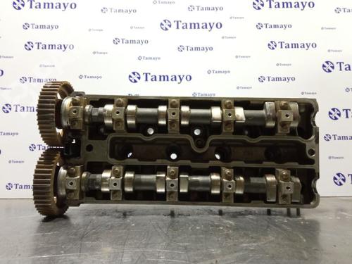 Cylinder head OPEL VECTRA B (J96)  | BP10970142M5 