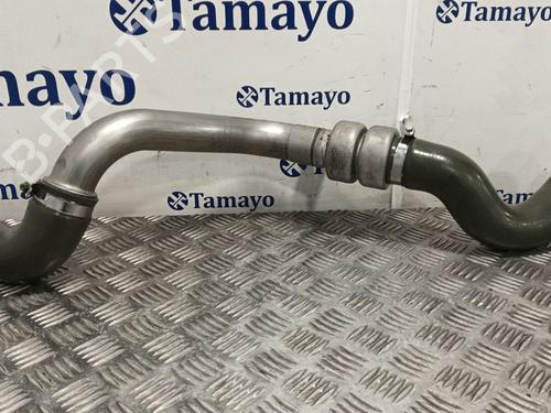 Used Intercooler pipe RENAULT GRAND SCÉNIC II (JM0/1_) [2004-2009]  30697037