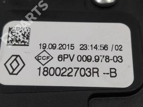 Pedal DACIA SANDERO II 1.5 dCi 75 / Blue dCi 75 (B8JW, B8M4, B8AH, B8M7, B8M6) | BP10405313I4 